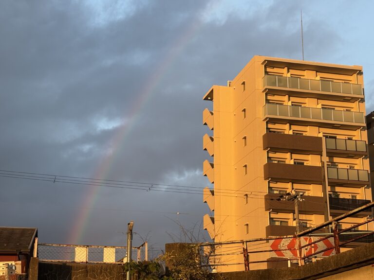 虹を見つけたよ！